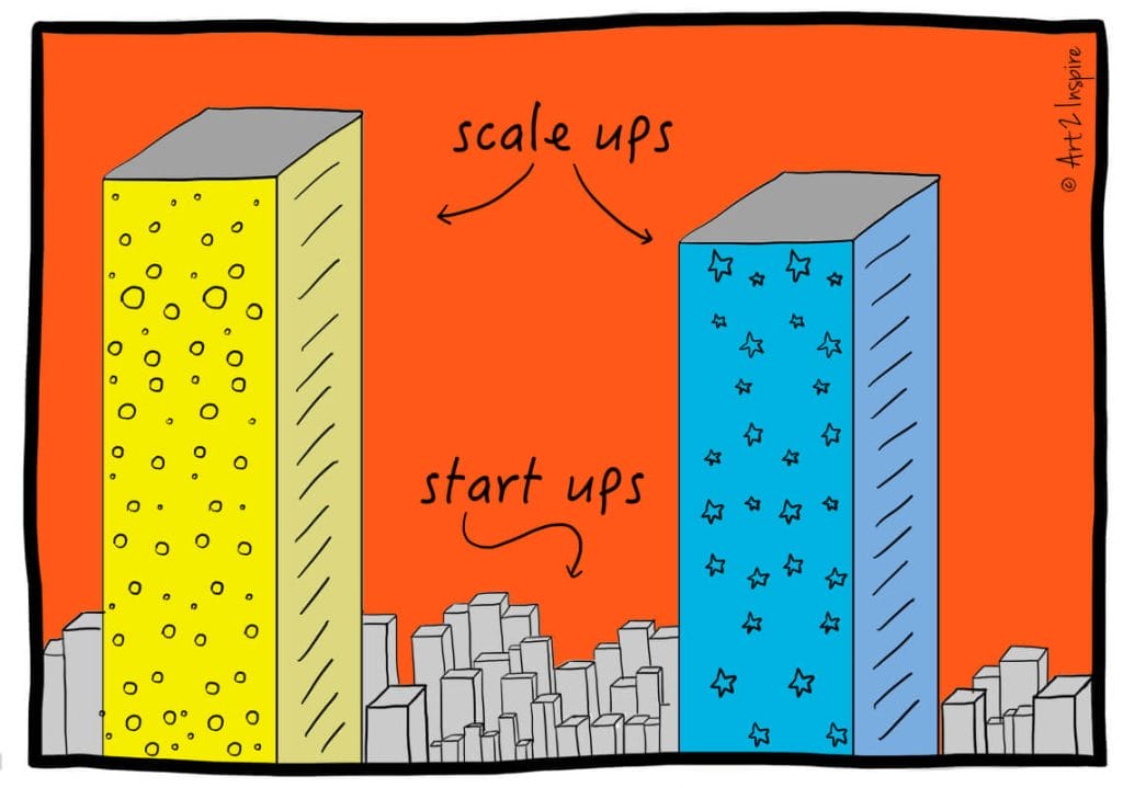 Startup vs Scaleup